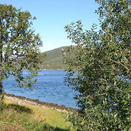 Kvaloya Lodge Futrikelv المظهر الخارجي الصورة