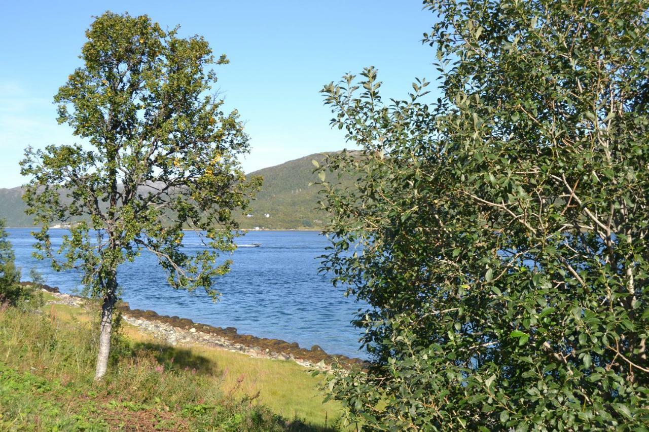 Kvaloya Lodge Futrikelv المظهر الخارجي الصورة